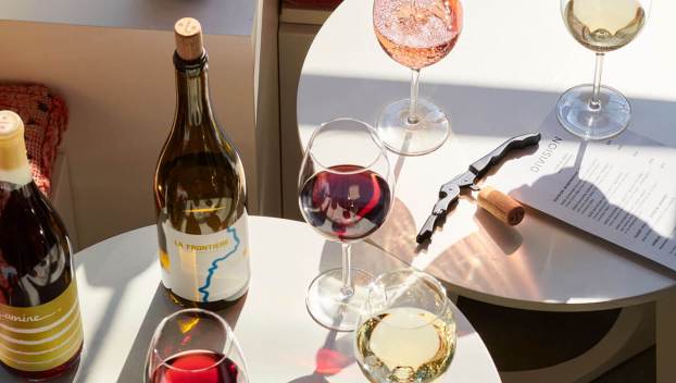 The Wine Yard